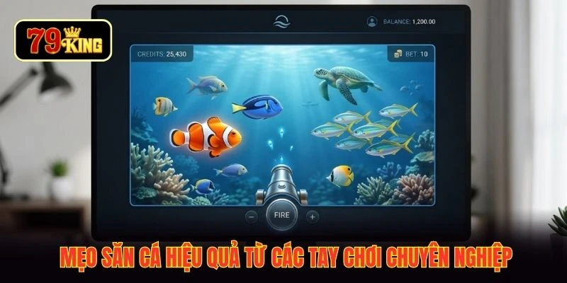 Mẹo săn cá hiệu quả từ các tay chơi chuyên nghiệp